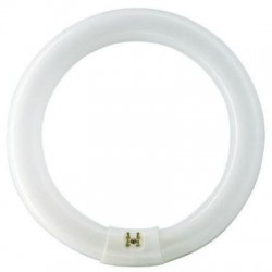 OSRAM LAMPADA CIRCOLINA...