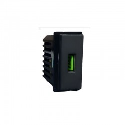 BIESSE PRESA USB 5V 2.1A...